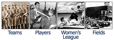 florida baseball league